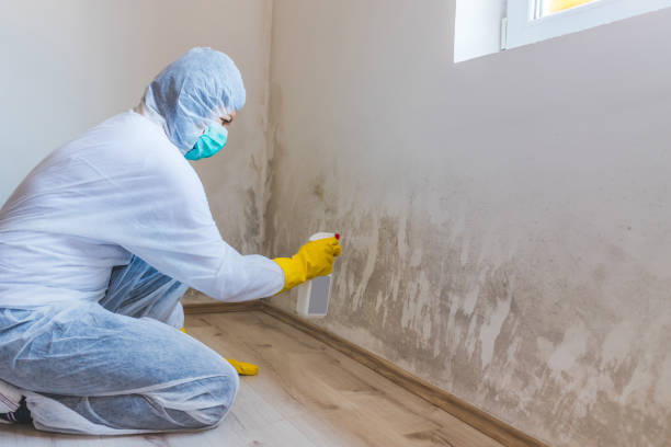 Mold Remediation specialist working in Carversville